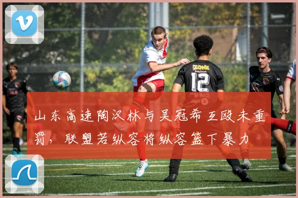 山东高速陶汉林与吴冠希互殴未重罚，联盟若纵容将纵容篮下暴力